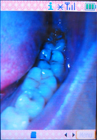 050604_05.jpg