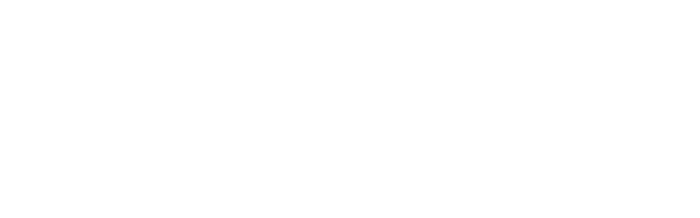 VISUNAVI