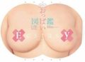 巨乳の誕生 vol.1　やっぱりおっぱいがいっぱいすぎ！
