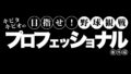 キビタキビオの目指せ!野球観戦プロフェッショナル~番外編~