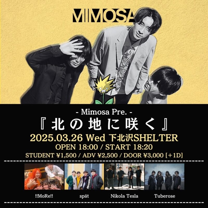 Mimosa Pre.『北の地に咲く』
