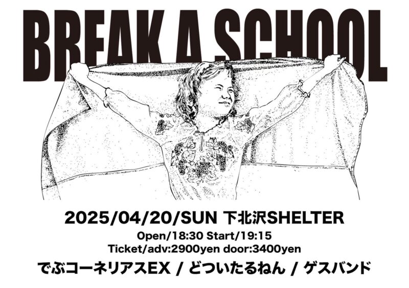 BREAK A SCHOOL