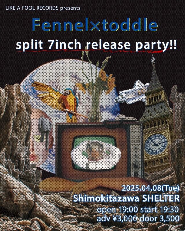 LIKE A FOOL RECORDS presents  “Fennel×toddle split 7inch release party!!”