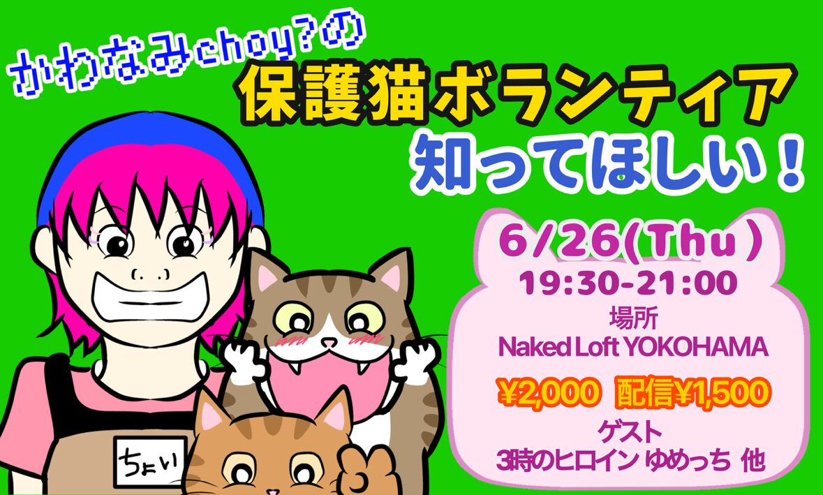 HIMA♡パリの街並みウィンドウショッピング猫ちゃん HIMA♡パリの街並みウィンドウショッピング猫ちゃん ピンクの