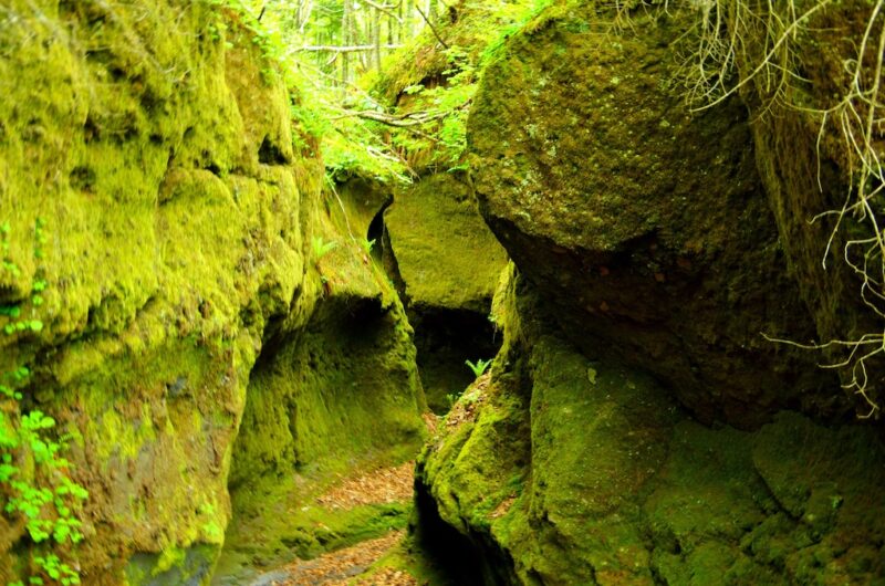 旅に恋するアドベンチャー 『旅ゲーアドベンナイト』