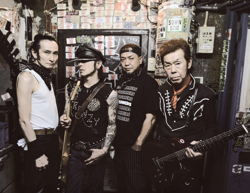 The STRUMMERS presents “PLAYING ON THE WILD SIDE”