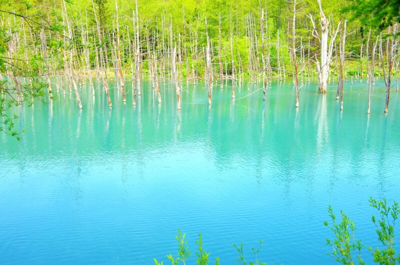 旅に恋するアドベンチャー 『旅ゲーアドベンナイト』