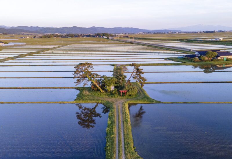 タビラボ！旅行ガイドでは教えてくれないニッチな旅の研究所