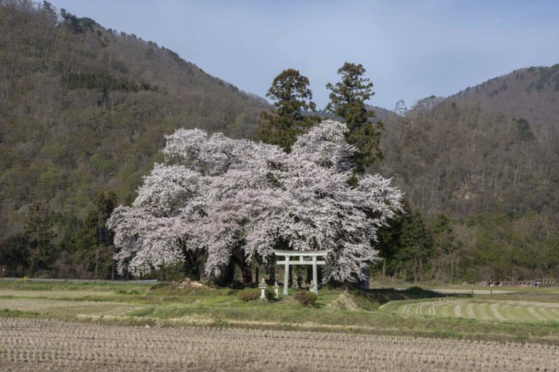 タビラボ!旅行ガイドでは教えてくれないニッチな旅の研究所 VOL.2