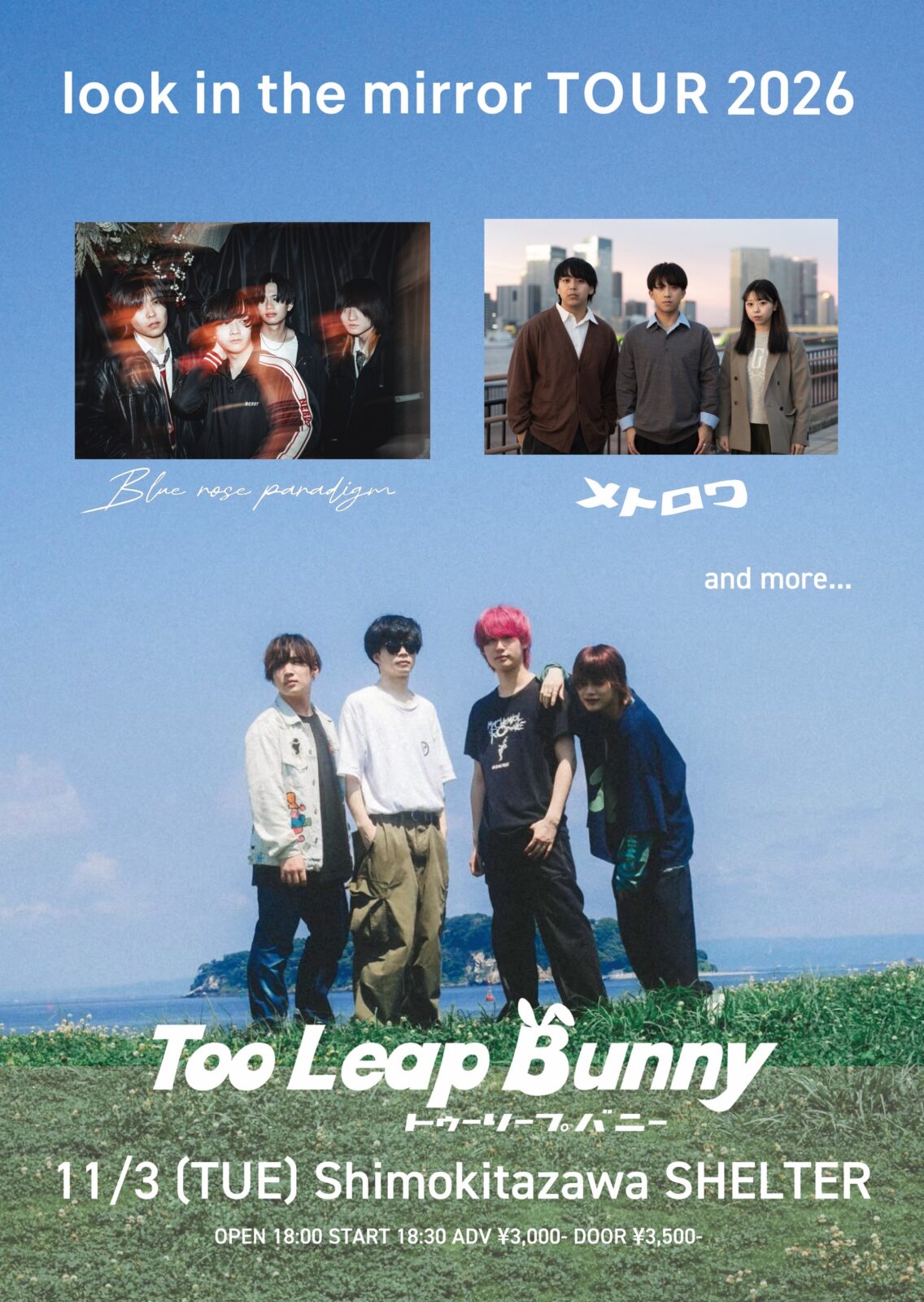 Flyer for Too Leap Bunny pre. look in the mirror TOUR